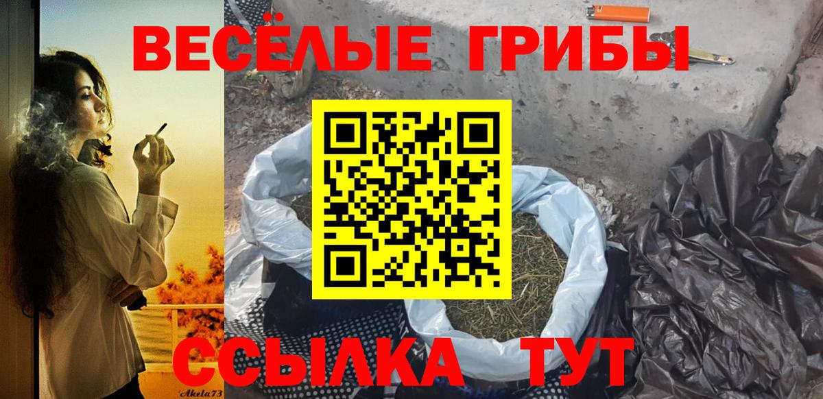 Псилоцибиновые грибы Cubensis  Галлюциногенные грибы мухоморы  Вход с VPN  Вязники 